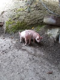 20201107_145355