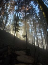 20201110_151511