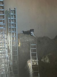 image00022
