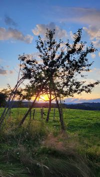 image00064