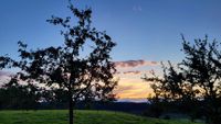 image00065